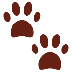 🐾
